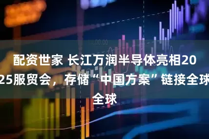 配资世家 长江万润半导体亮相2025服贸会，存储“中国方案”链接全球