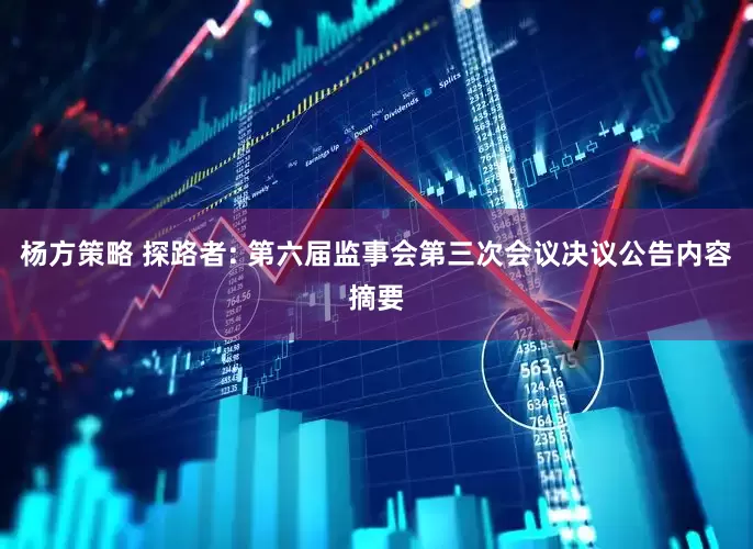 杨方策略 探路者: 第六届监事会第三次会议决议公告内容摘要