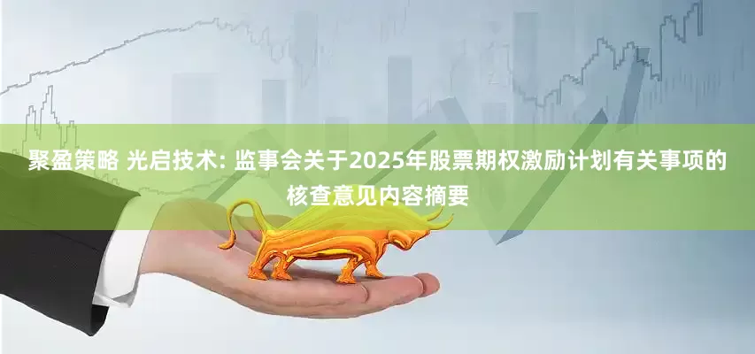 聚盈策略 光启技术: 监事会关于2025年股票期权激励计划有关事项的核查意见内容摘要